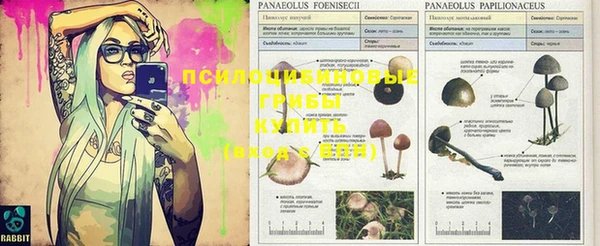 ECSTASY Алзамай