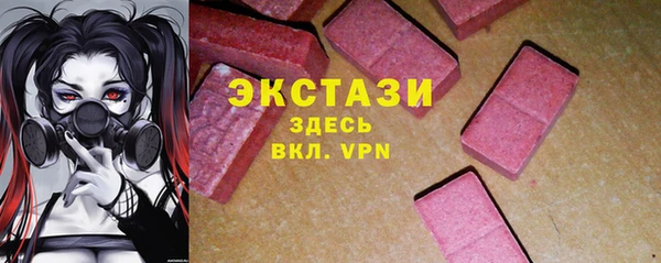 ECSTASY Алзамай
